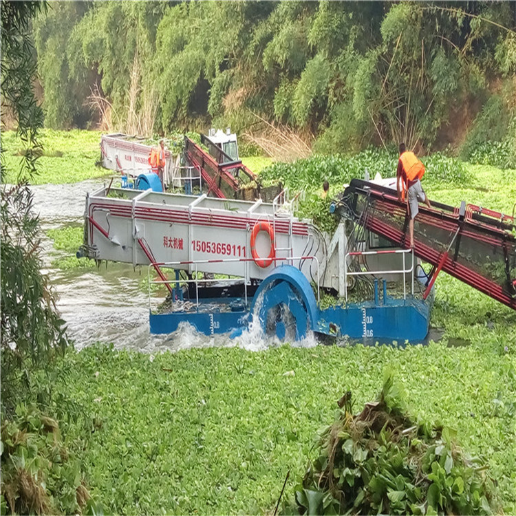 Keda Automatic Mowing and Cleaning Boat for River