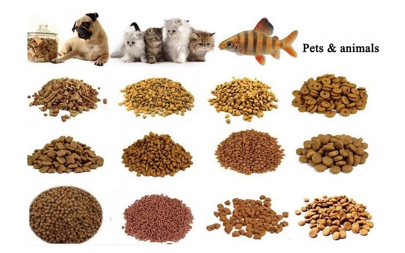 Floating Sinking Fish Feed Pet Food Making Machine