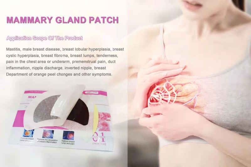 Relief Abdominal Pain Gynecological Heating Patch for Cramp Relief