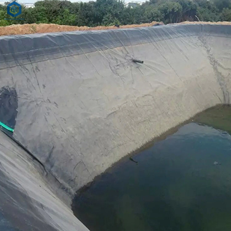 HDPE Dam Geomembrane Liners for Dam Project