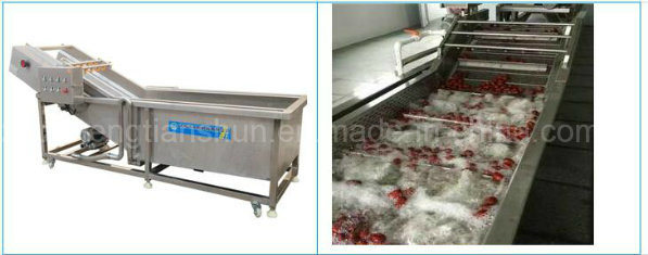 Automatic Washer Vegetable Cleaning Machine Fruit Washing Machine