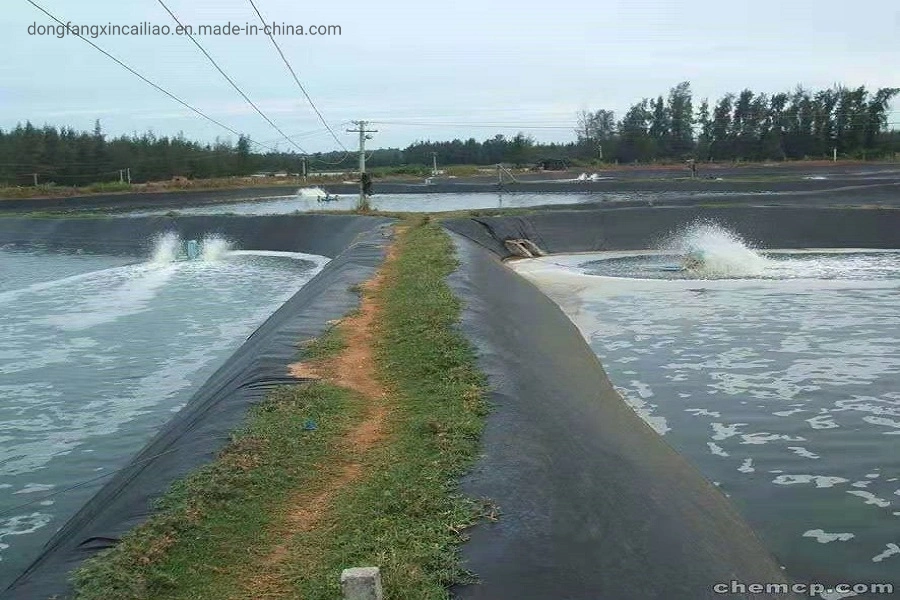 Dam Liner Installation for Dam Project GM13 HDPE Liner