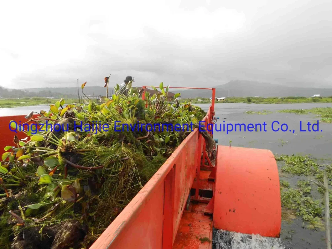 Automatic Aquatic Weed Cutting Machine/River Cleaning Boat/Water Grass Harvester for Sale