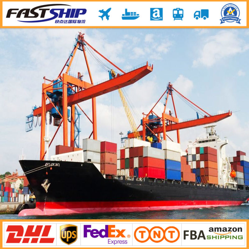 Cheap Sea Freight Qingdao to Banjul Australia Shipping Containers 20 Foot