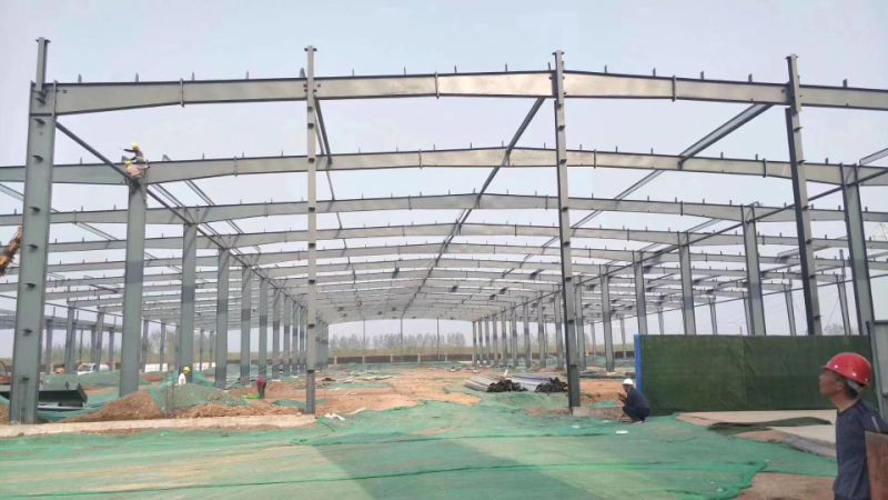 Quality Cheap Large Span Pre Engineered Steel Structure Warehouse Building Frame Greenhouse