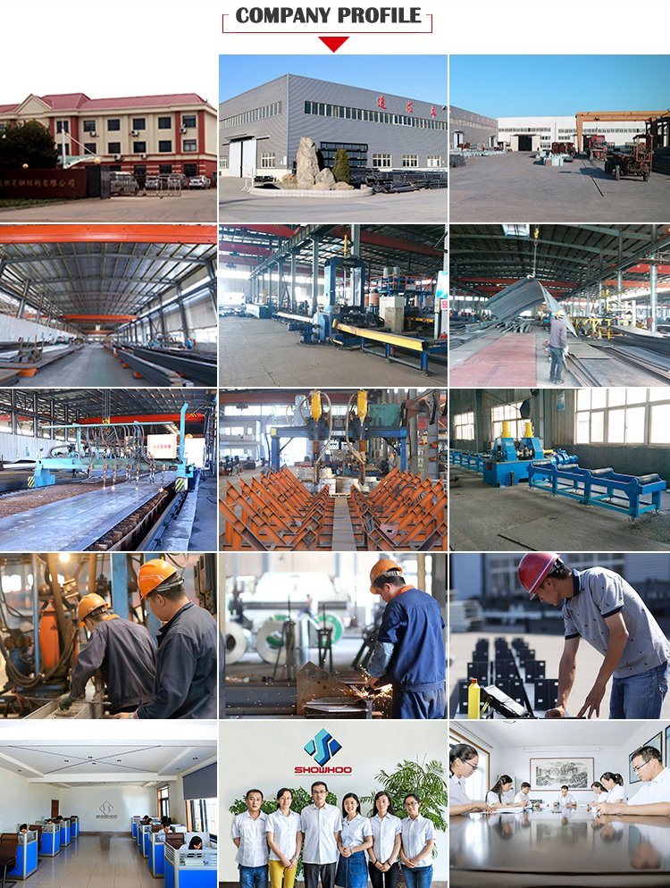 Two Floor Designed Algeria Prefabricated Heavy Steel Structure Warehouse