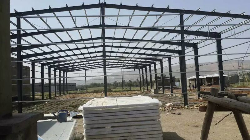 Modern Prefabricated Building Structural Kit Apartment Steel Prefab Warehouse