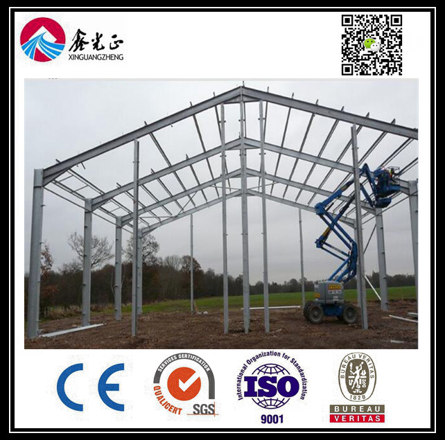Steel Construction Warehouse with Crane (BYSS0224015)