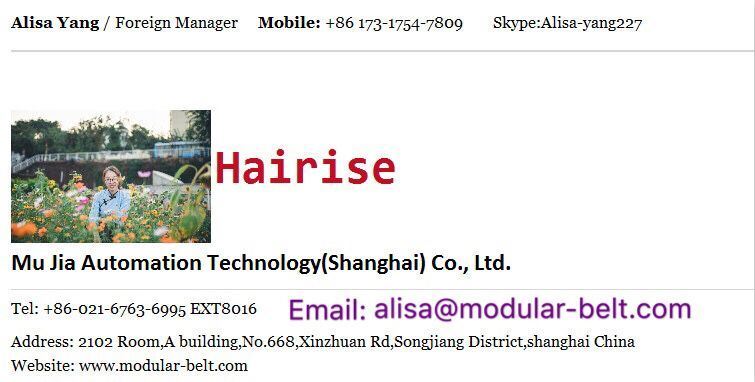 Hairise Incline Mobile Rice Belt Expandable Movable Conveyor
