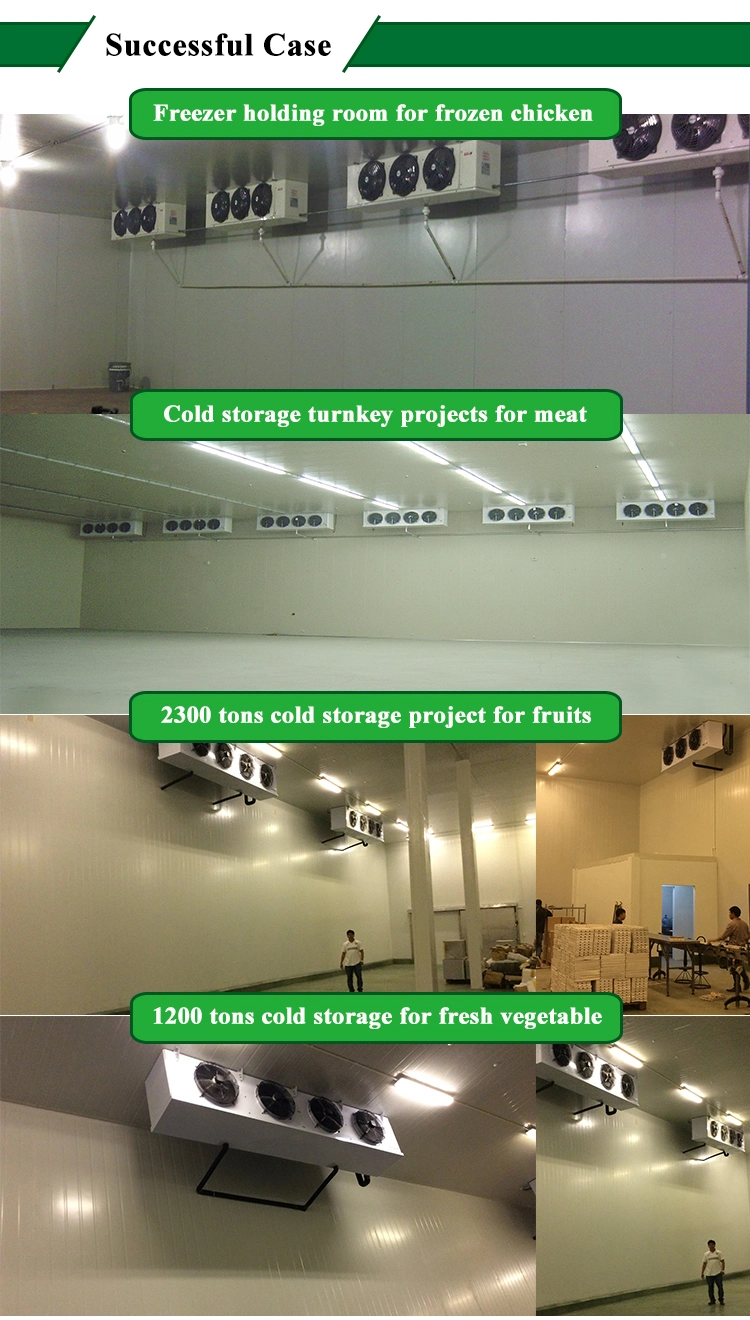 Dried Pork Powder Crawfish Tail Meat Cold Room Container Food Storage Room Design Indiana Cold Storage
