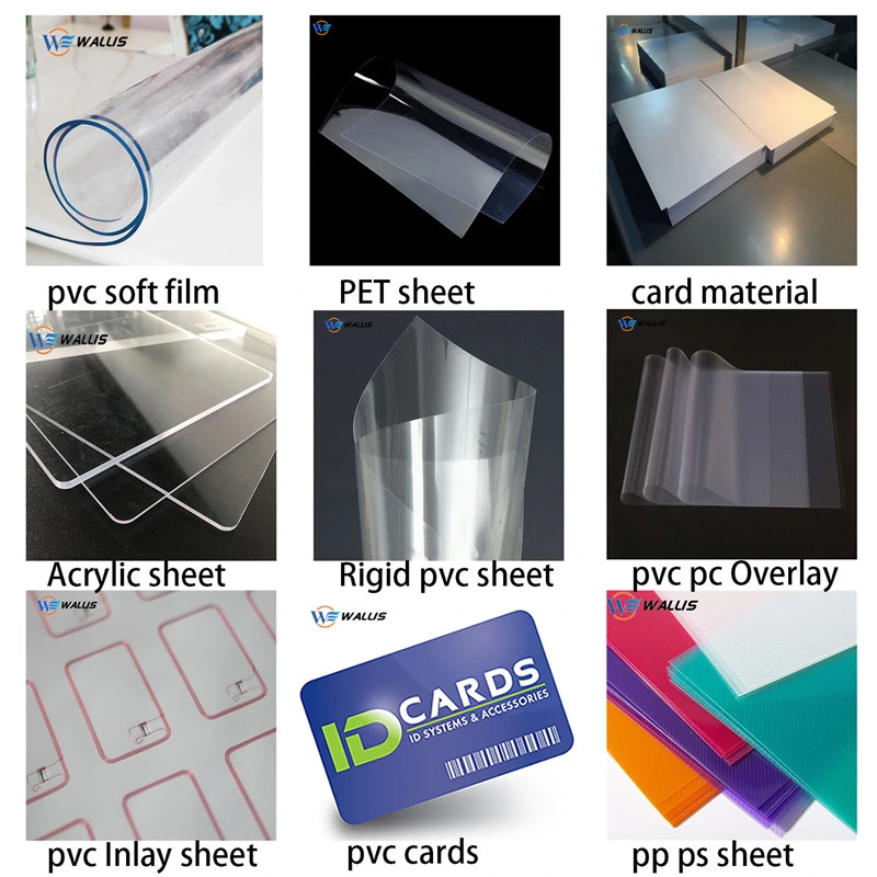 Disposable Pet PS PETG Plastic Food Container Sushi Packaging Box, Dessert Bread Cake Tray