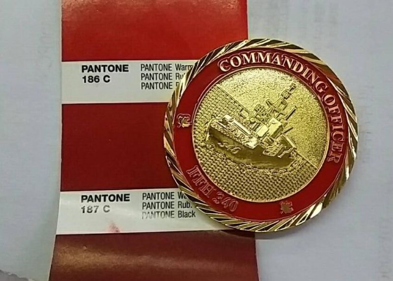 Customized Coin Badge/Medal Coin/Coin Collection/Metal Badge Coin