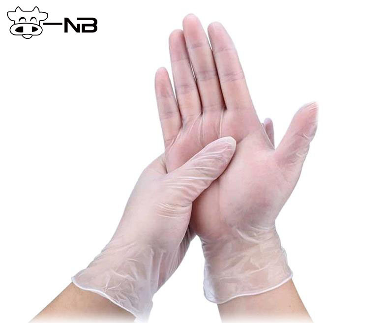 Transparent Disposable Vinyl Non Medical Examination Gloves