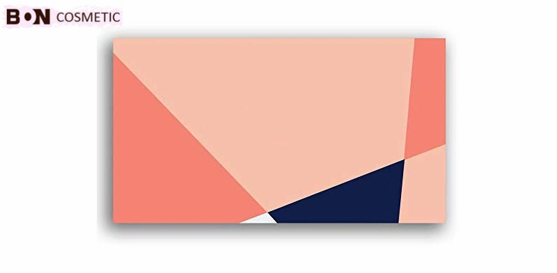 Private Label 18 Paleta de colores de maquillaje maquillaje Eyeshadow Blusher