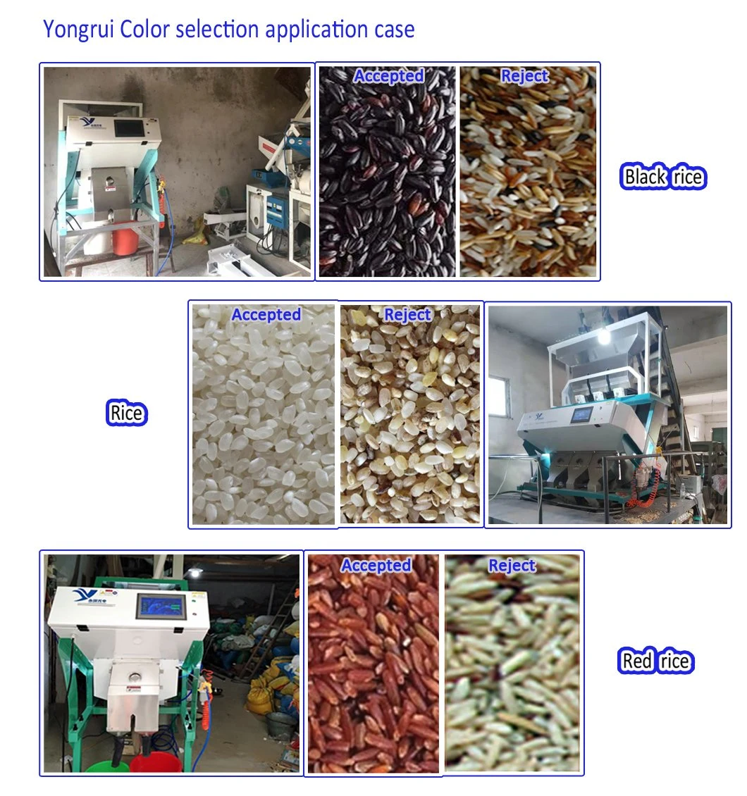 3 Chutes Automatic White Red Black Rice Color Sorter Rice Select Machine