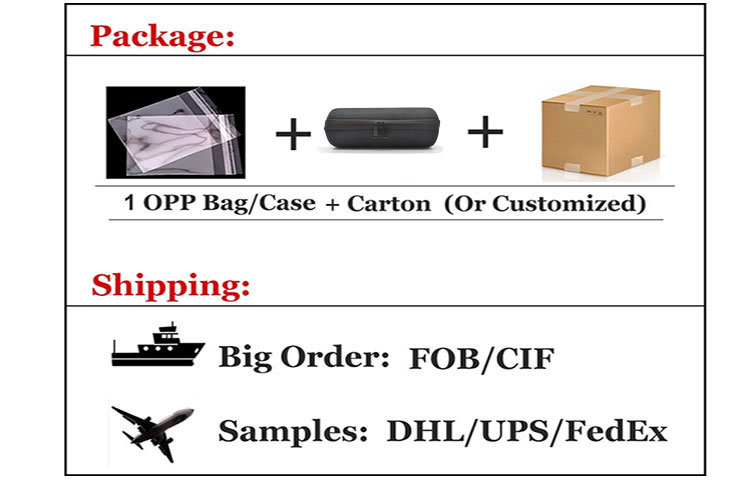 Outdoor Mini EVA Protective Case Travel Storage Case for Jbl Link Subwoofer Audio