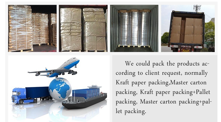 Cheap Price Corrugated Carton Box Packaging Box/Foldable Kraft Paper Box