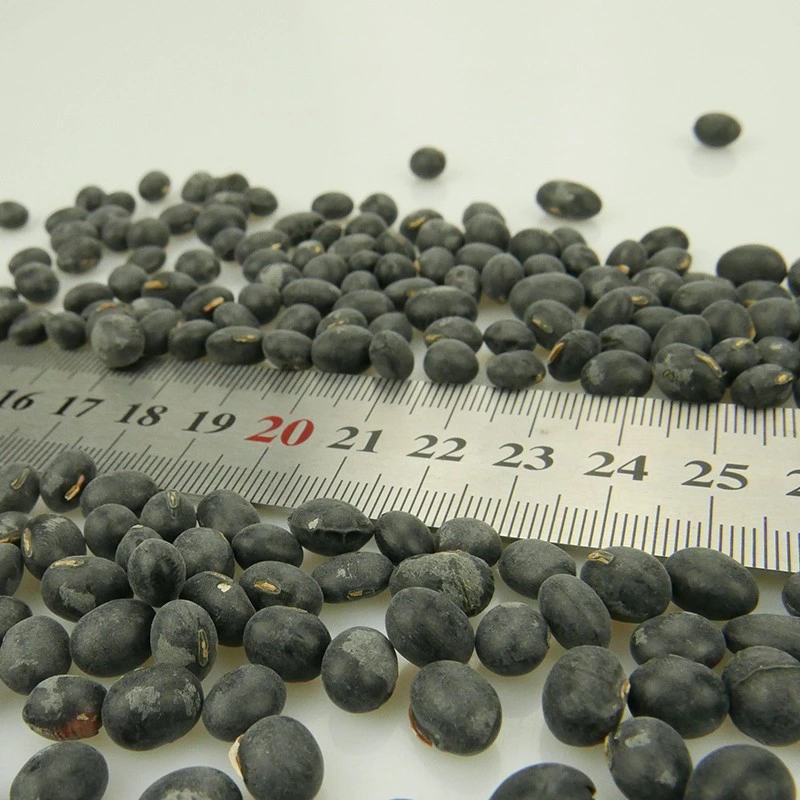 Big Black Beans (black soya beans/black soybeans)