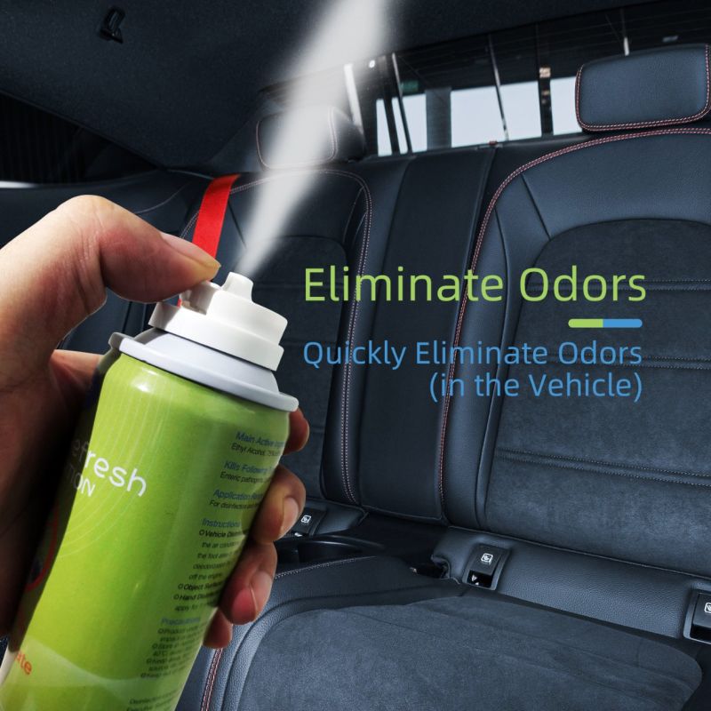 Allgo Household Disinfectant Hand Sanitizer Car Disinfection Spray Aerosol