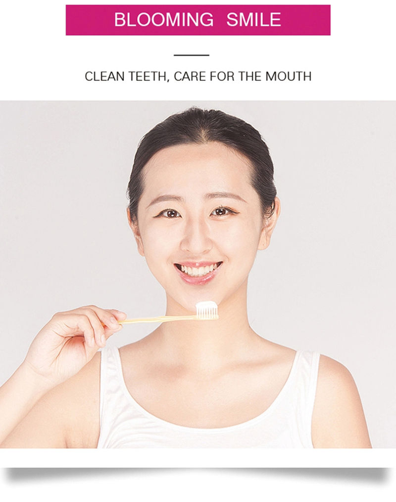 Excellent Whitening Effect Teeth Whitening Kit Premium White