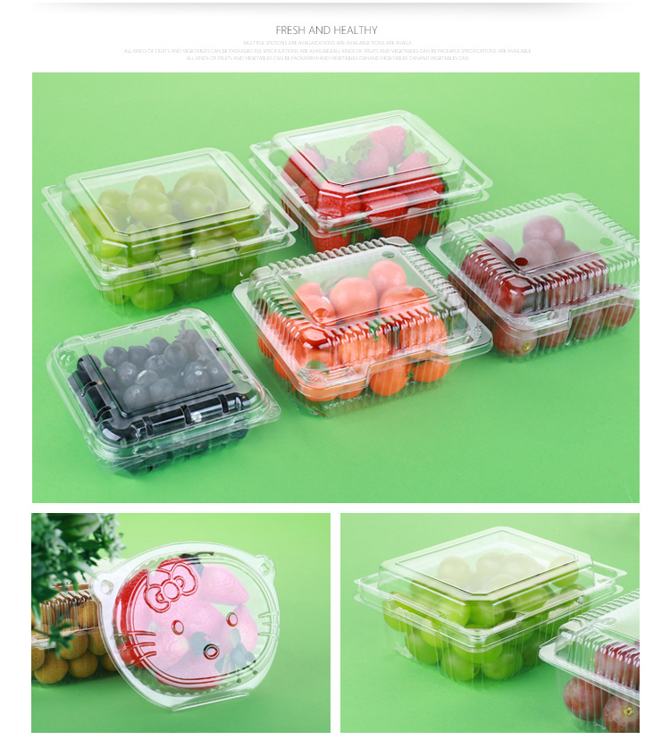 Daily Necessities Food Plastic Clamshell Package Container Making Machine