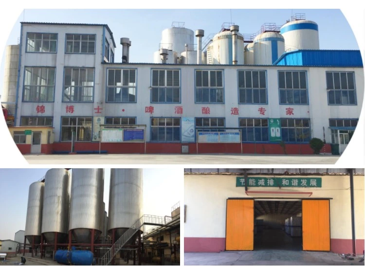 China Beer Expoter Dark Dark Beer Supplier