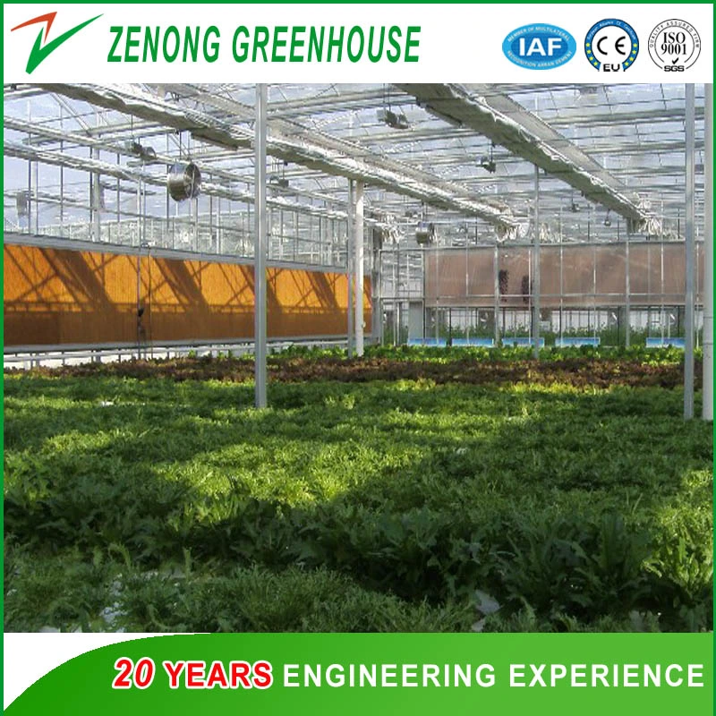 Greenhouse Cooling System/ Cooling Pad/ Evaporative Cooling Pad