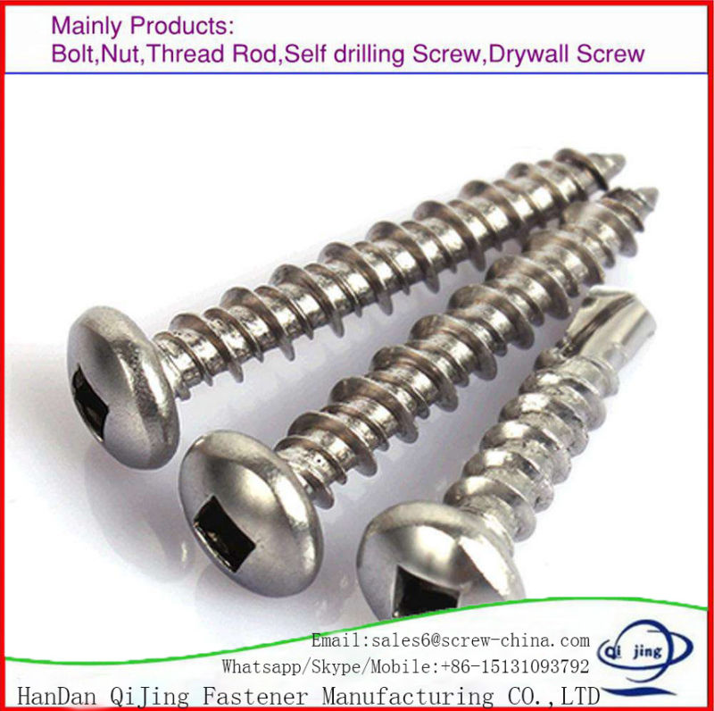 Stainless Steel 316/304 Carbon Steel Phillips Truss Head Sheet Metal Screws