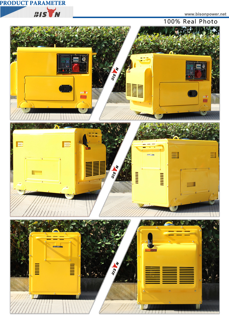 Bison Silent Type Air Cooled Single-Cylinder Diesel Generator with One/Three Phase