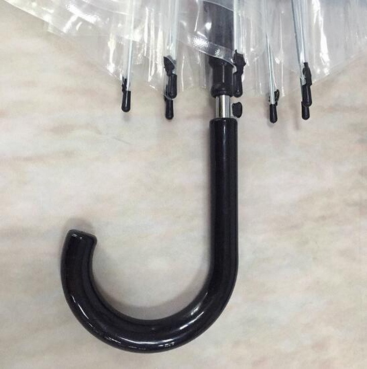 Small Fresh Creative Long Handle Environmental Transparent Umbrella