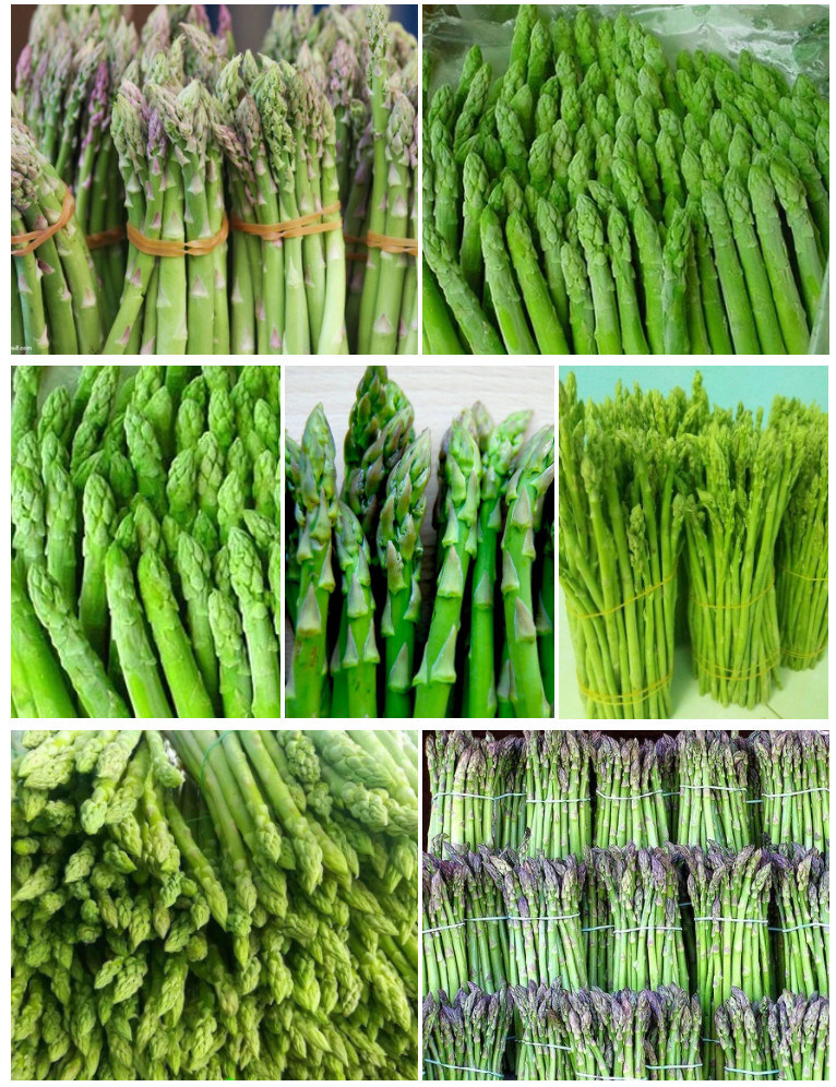 Nutrition and Health New Arrival Fresh IQF Frozen Fresh Green Asparagus