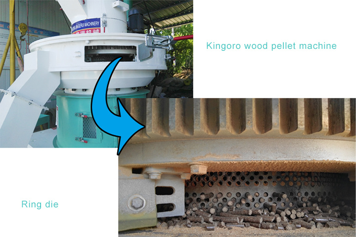 Wood Sawdust Pellet Machine with Double-Layers Mold