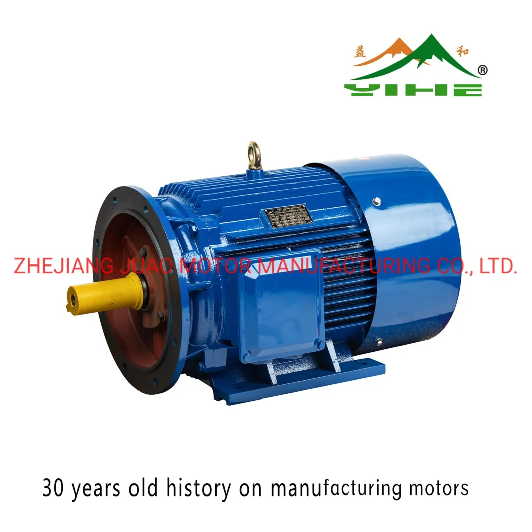 Ie1, Ie2, Ie3 High Efficiency Customized Electric Motor AC Motor