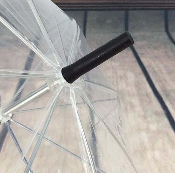 Small Fresh Creative Long Handle Environmental Transparent Umbrella