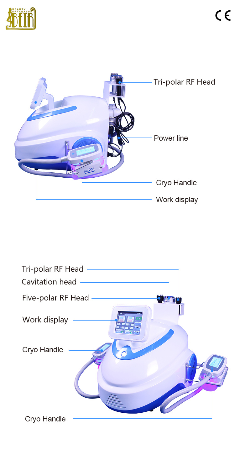 5 in 1 Cryolipolysis Vacuum Cupping Therapy Fat Freezing Machine