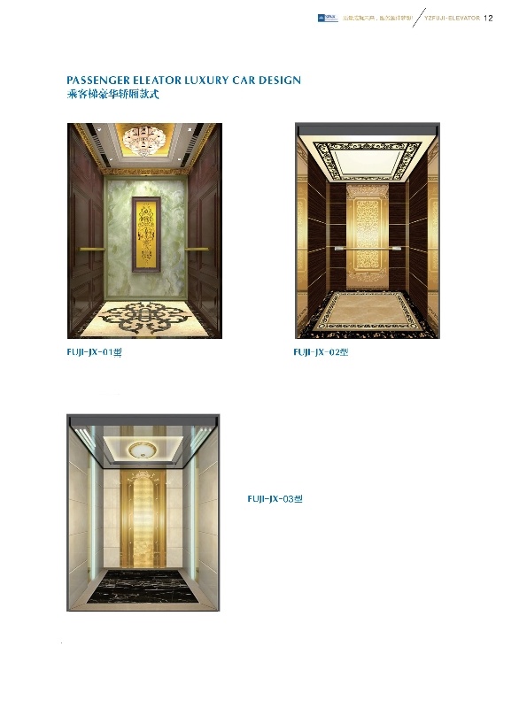 Passenger Elevator Lift with Mirror Stainless Steel Car for Sale