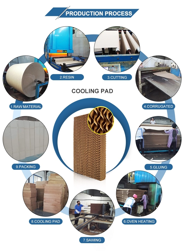 Livestock Breeding Equipment Pad and Fan Greenhouse Cooling Systems Evaporative Cooling Pad Evaporation Cooling System