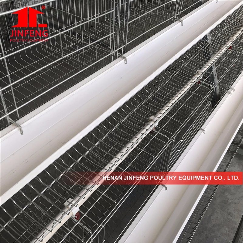 a Type Layer Battery Cage for Layer Poultry Farming