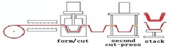 Cup Thermo Forming Machine