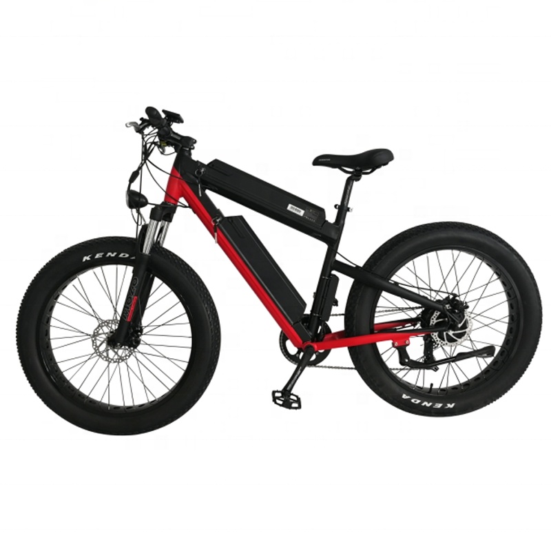 Double Batteries 100km Long Trip Fat Tire Electric Bike for Adult