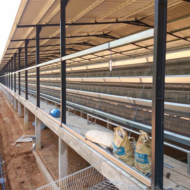 a Type Layer Battery Cage for Layer Poultry Farming