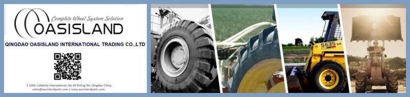 Tractor Rear Wheel; Tractor Front Wheel; R-1 Tyre Wheel; Steel Farm Wheel
