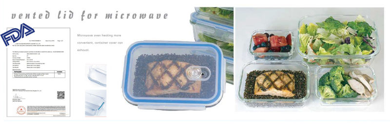 Heat Resistant Borosilicate Glass Home Style Food Container in 2/3 Compartments
