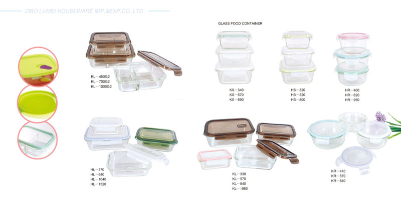 Heat Resistant Borosilicate Glass Home Style Food Container in 2/3 Compartments