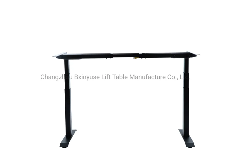55'' Large Size Electric Office Standing Desk Height Adjustable Table