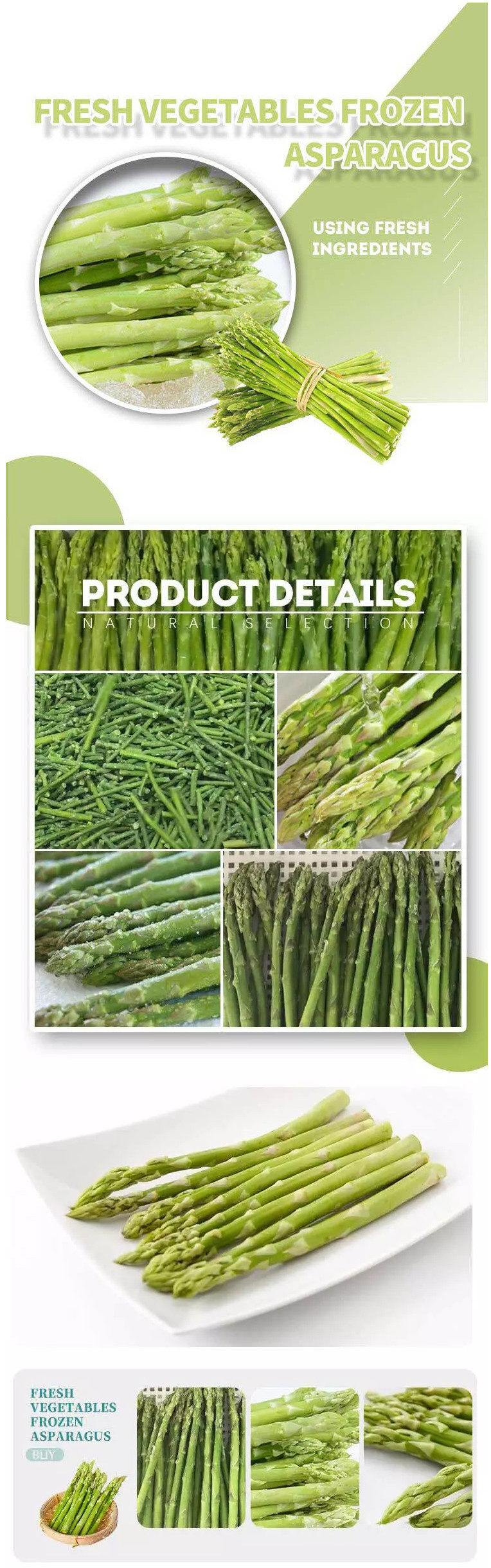 Nutrition and Health New Arrival Fresh IQF Frozen Fresh Green Asparagus