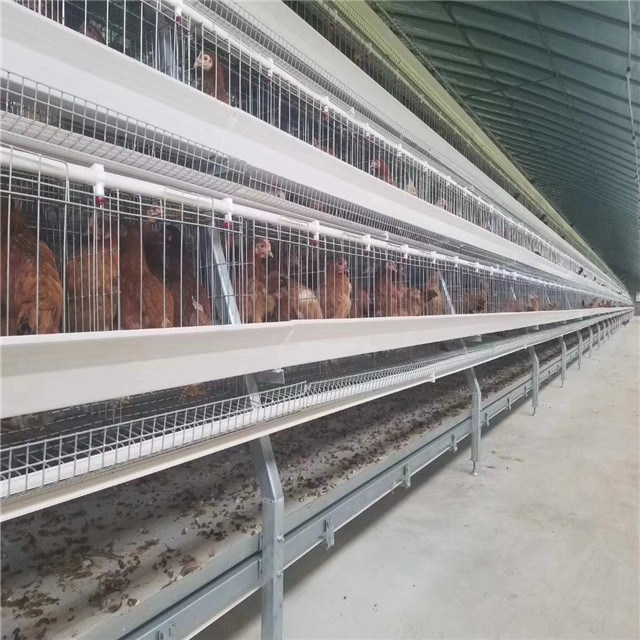 a Type Layer Battery Cage for Layer Poultry Farming