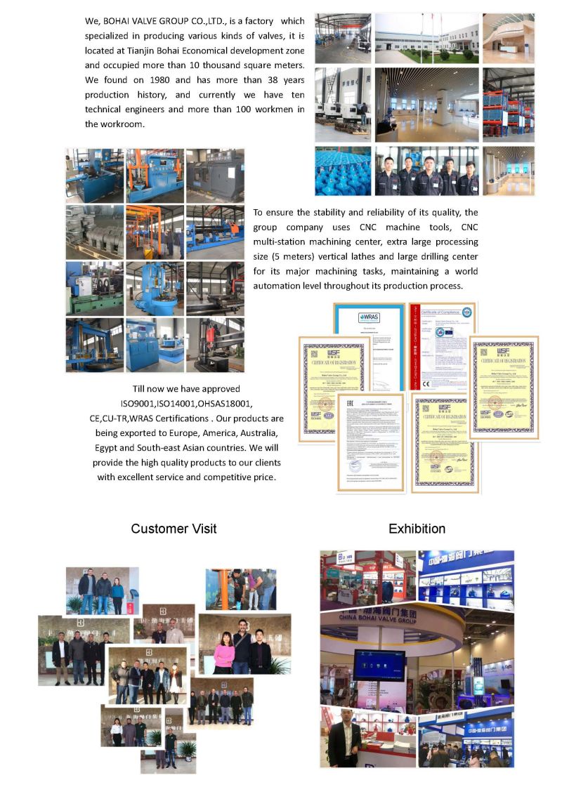 Large Diameter Electric Actuator Flanged Butterfly Industrial Valve