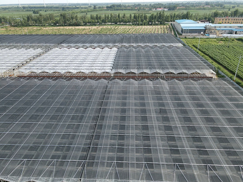 Agricultural Greenhouse Aluminum Foil Sun Shade Net for Heat Preservation