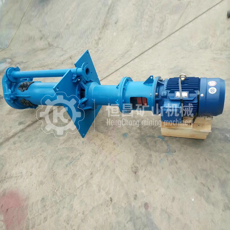 Gold Mining Vertical Sand Sump Pump with Large Capacity